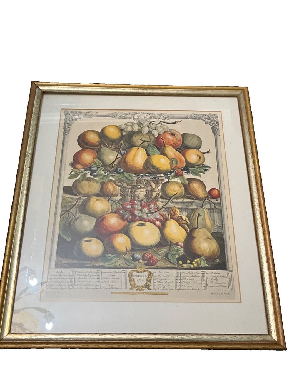 Robert Furber 12 Months Of Fruit Vtg Framed Print December 1732 Gold Frame